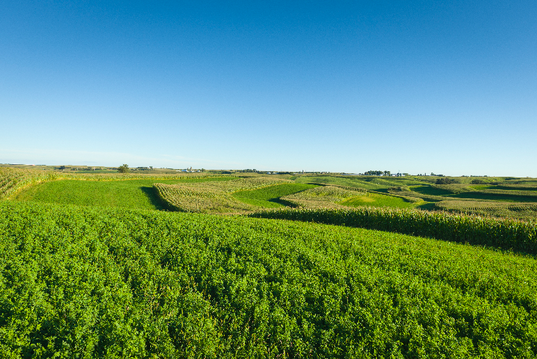 image81-177